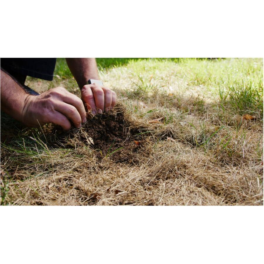 3.08kg Grub B Gon Max, Grub Killer