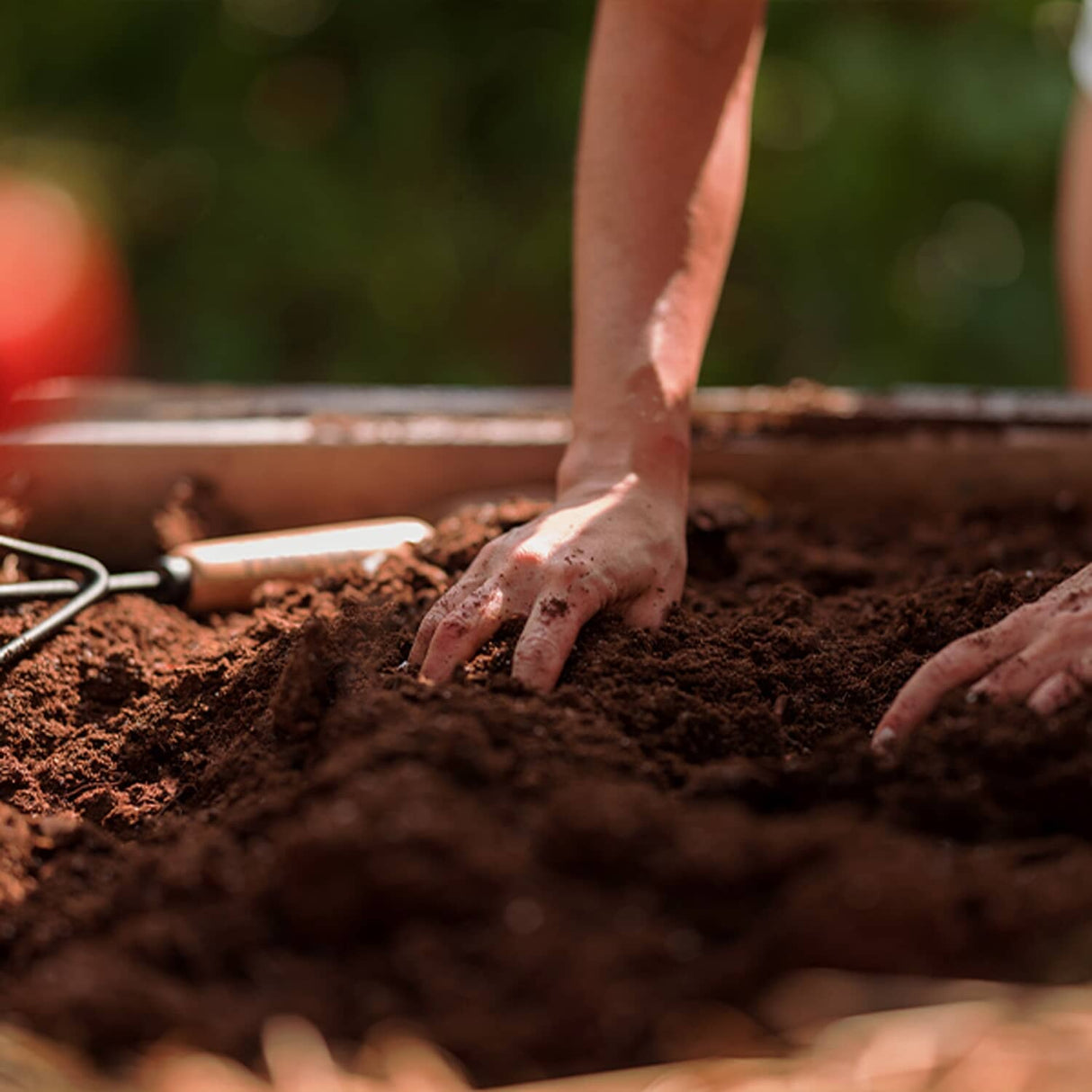 Compressed Sphagnum Peat Moss - 3.8 Cu. Ft.