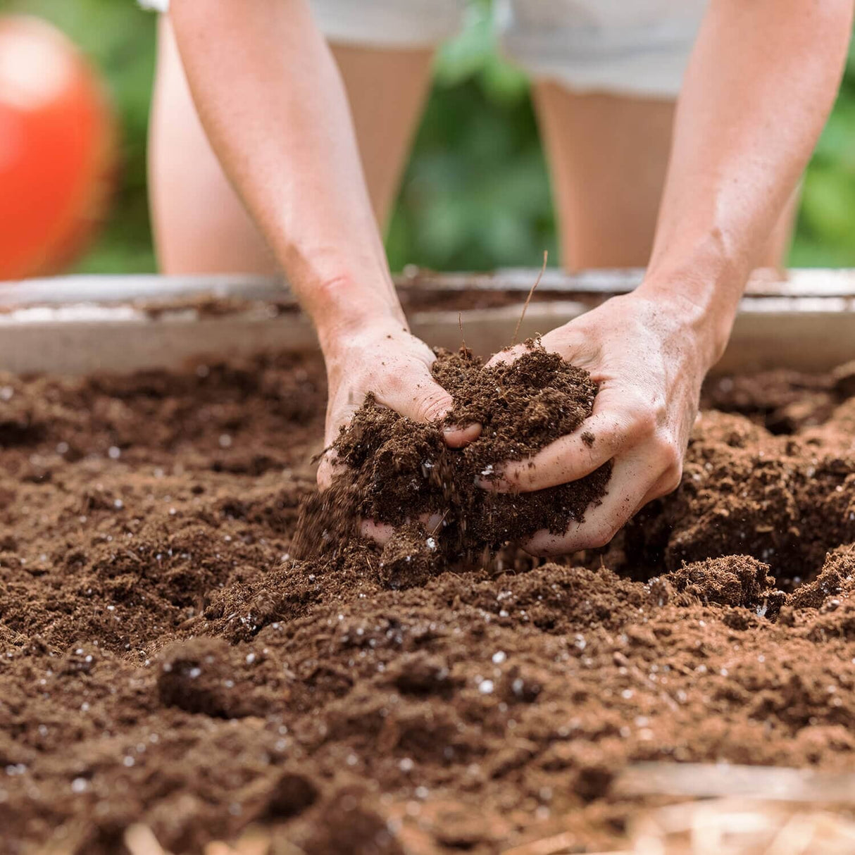 General Purpose Mycorrhizae Soil Mix - 3.8 cu.ft.