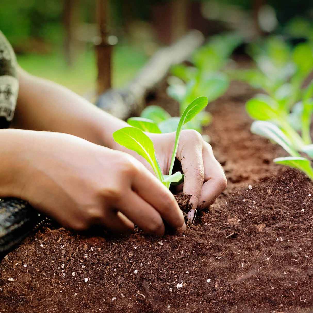 General Purpose Mycorrhizae Soil Mix - 3.8 cu.ft.