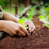 General Purpose Mycorrhizae Soil Mix - 3.8 cu.ft.