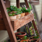 Premium Seed Starting Potting Soil Mix - 17.6 L