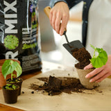 Organic Seed Starting Potting Soil Mix - 9 L