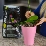 Premium Orchid Potting Soil Mix - 9 L