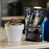 Premium African Violet Mix - 5 L