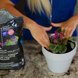 Premium African Violet Mix - 5 L