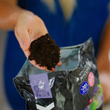 Premium African Violet Mix - 5 L