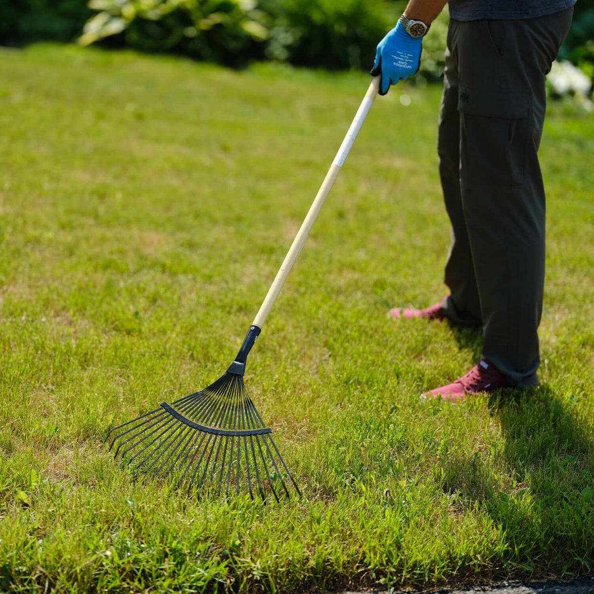 7kg Iron+ Lawn Recovery and Repair