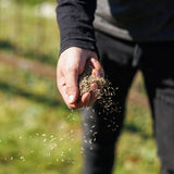 Iron+ Premium Sun & Shade Grass Seed - 1.2 kg