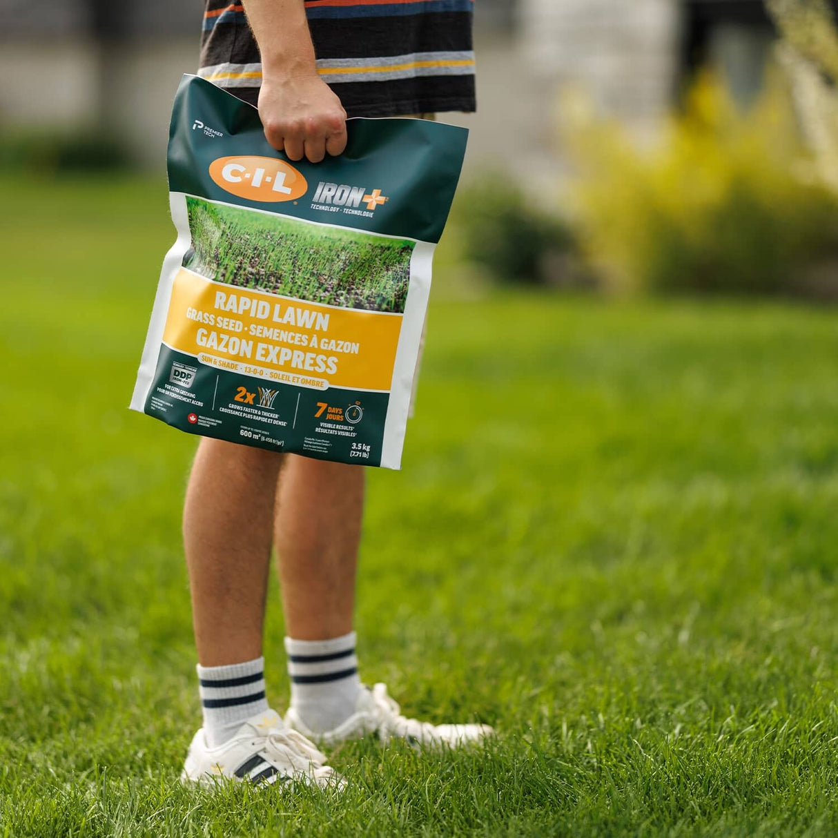 Iron+ Premium Sun & Shade Grass Seed - 3.5 kg