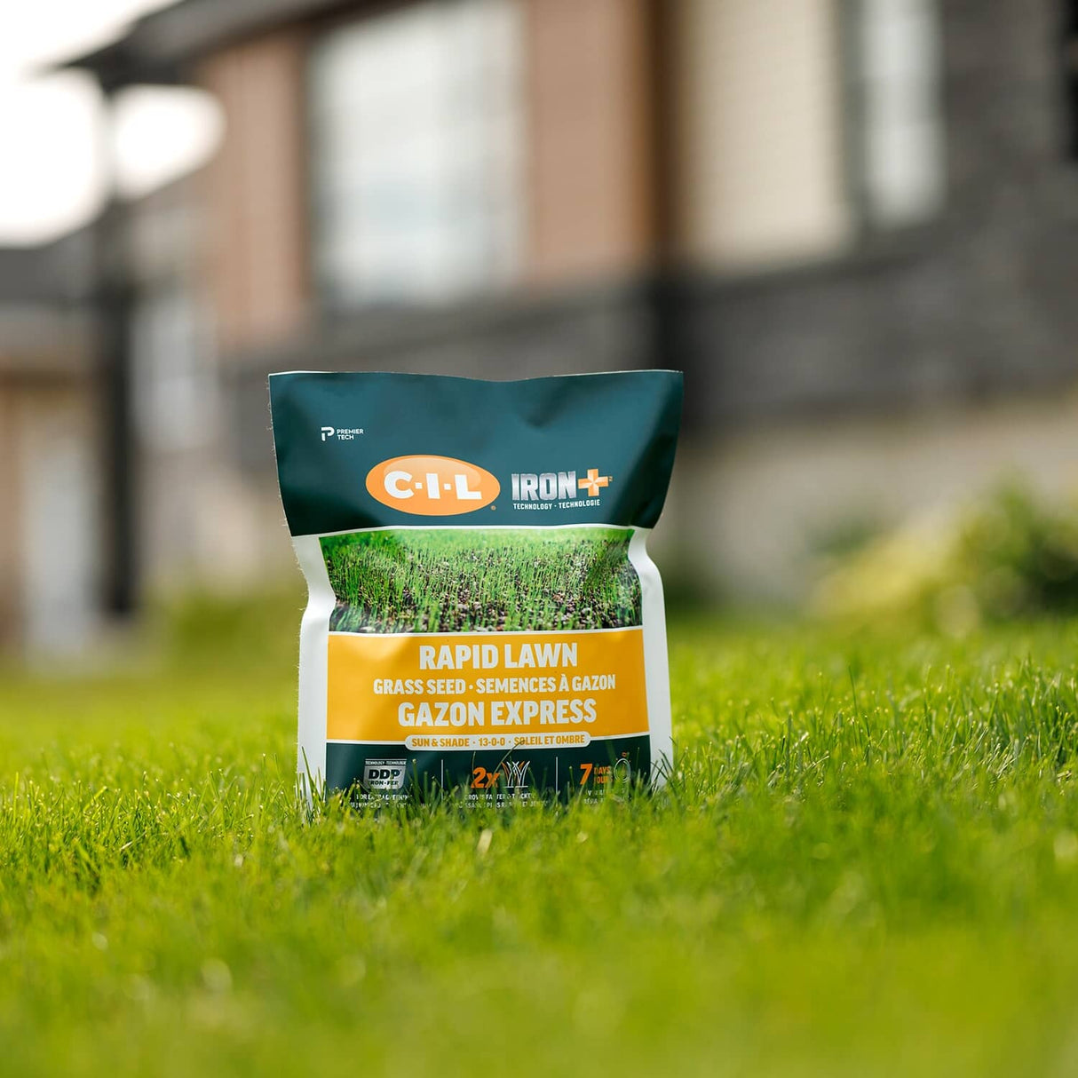 Iron+ Premium Sun & Shade Grass Seed - 3.5 kg