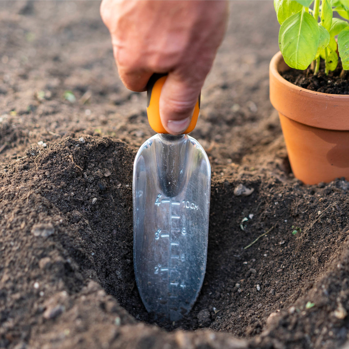 Ergo Hand Transplanter, with Ergonomically designed Handle