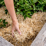 0.5 Cu. Ft. GardenStraw Mini Premium Mulch