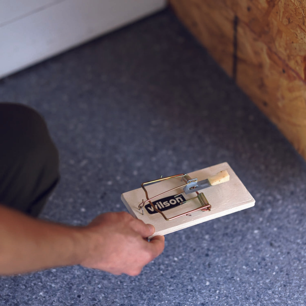 Predator Wood Rat Trap