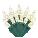 100 LED Warm White Mini Light Set with Green Wire