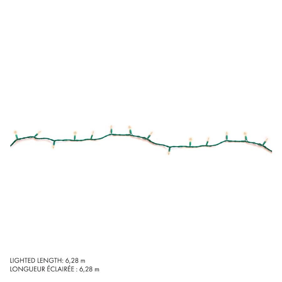 100 LED Warm White Mini Light Set with Green Wire