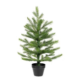 24" Grandis Mini Tabletop Tree - with Pot
