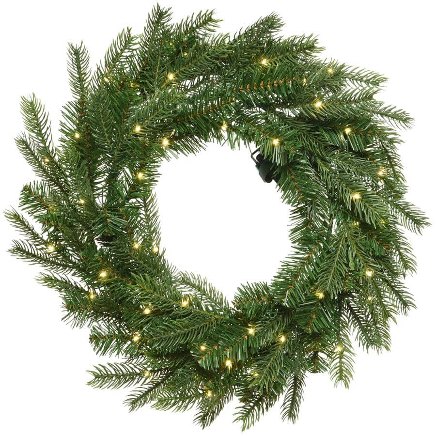 20" Indoor / Outdoor Grandis Wreath - 50 Warm White Micro LED Lights