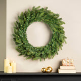 20" Indoor / Outdoor Grandis Wreath - 50 Warm White Micro LED Lights