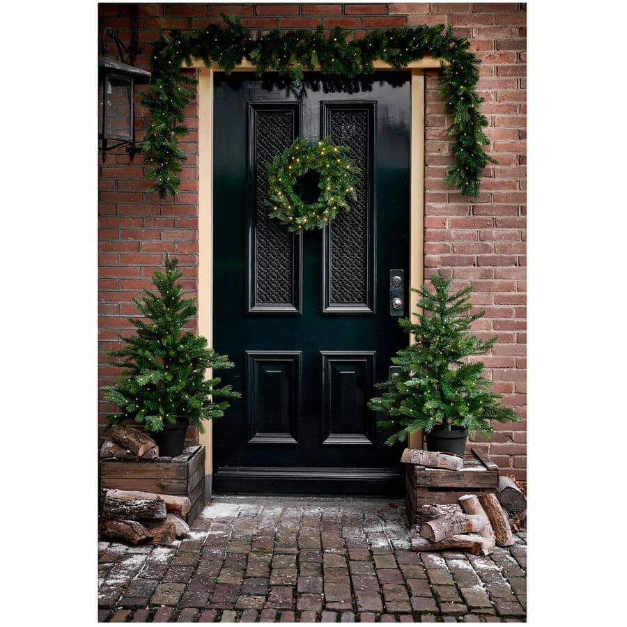20" Indoor / Outdoor Grandis Wreath - 50 Warm White Micro LED Lights