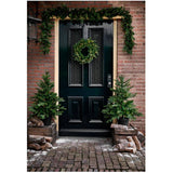 20" Indoor / Outdoor Grandis Wreath - 50 Warm White Micro LED Lights