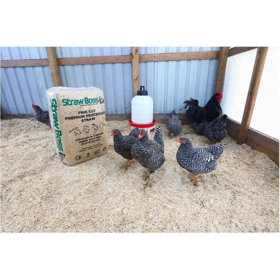Fine Cut Premium Processed Straw - 3 cu. ft.