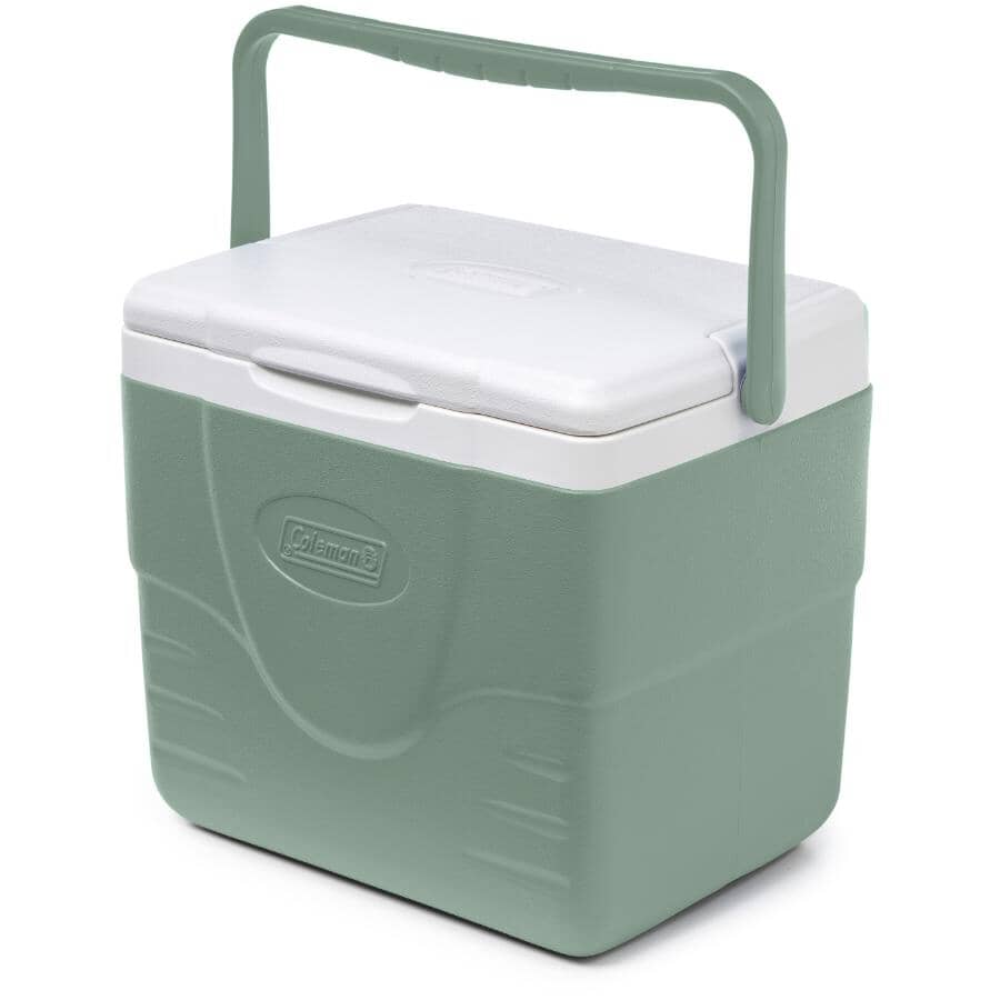 Chiller 9 Qt Cooler - Hickory Moss