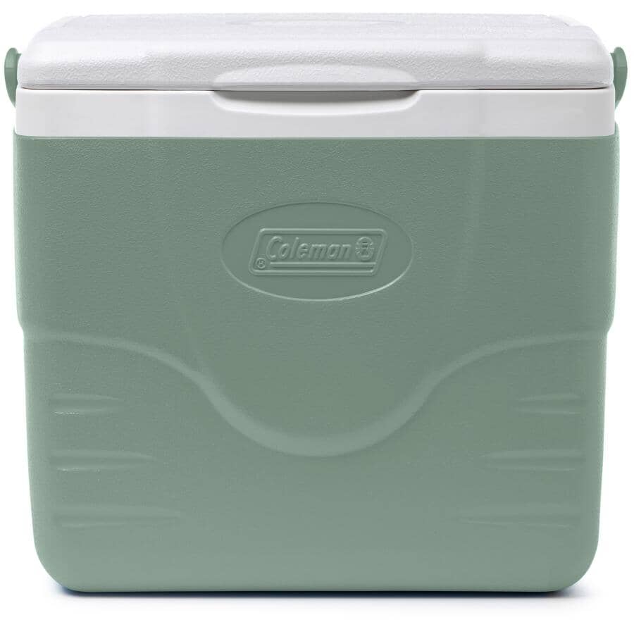 Chiller 9 Qt Cooler - Hickory Moss