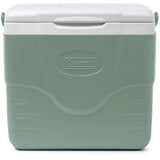Chiller 9 Qt Cooler - Hickory Moss