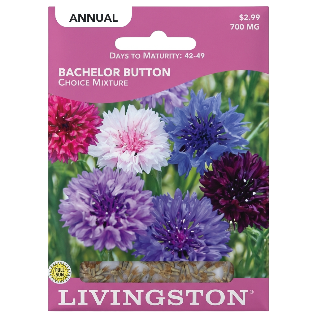 Bachelor Button Choice Seeds