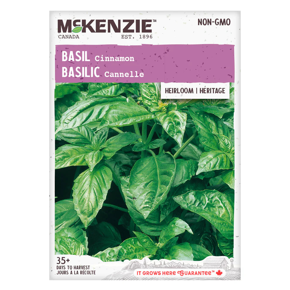Cinnamon Basil Seeds