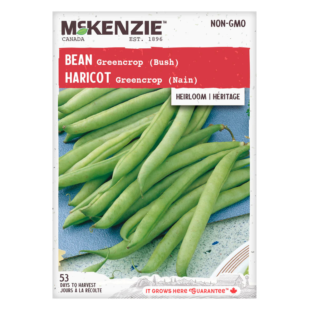 Greencrop Bean Seeds