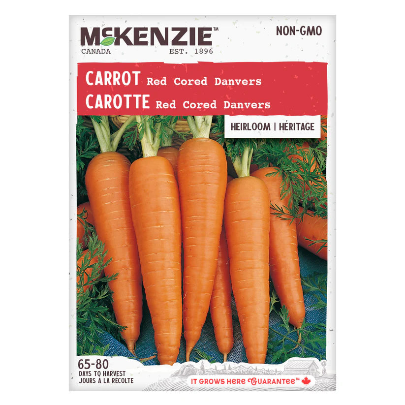 Red Cored Danvers Carrot Seeds