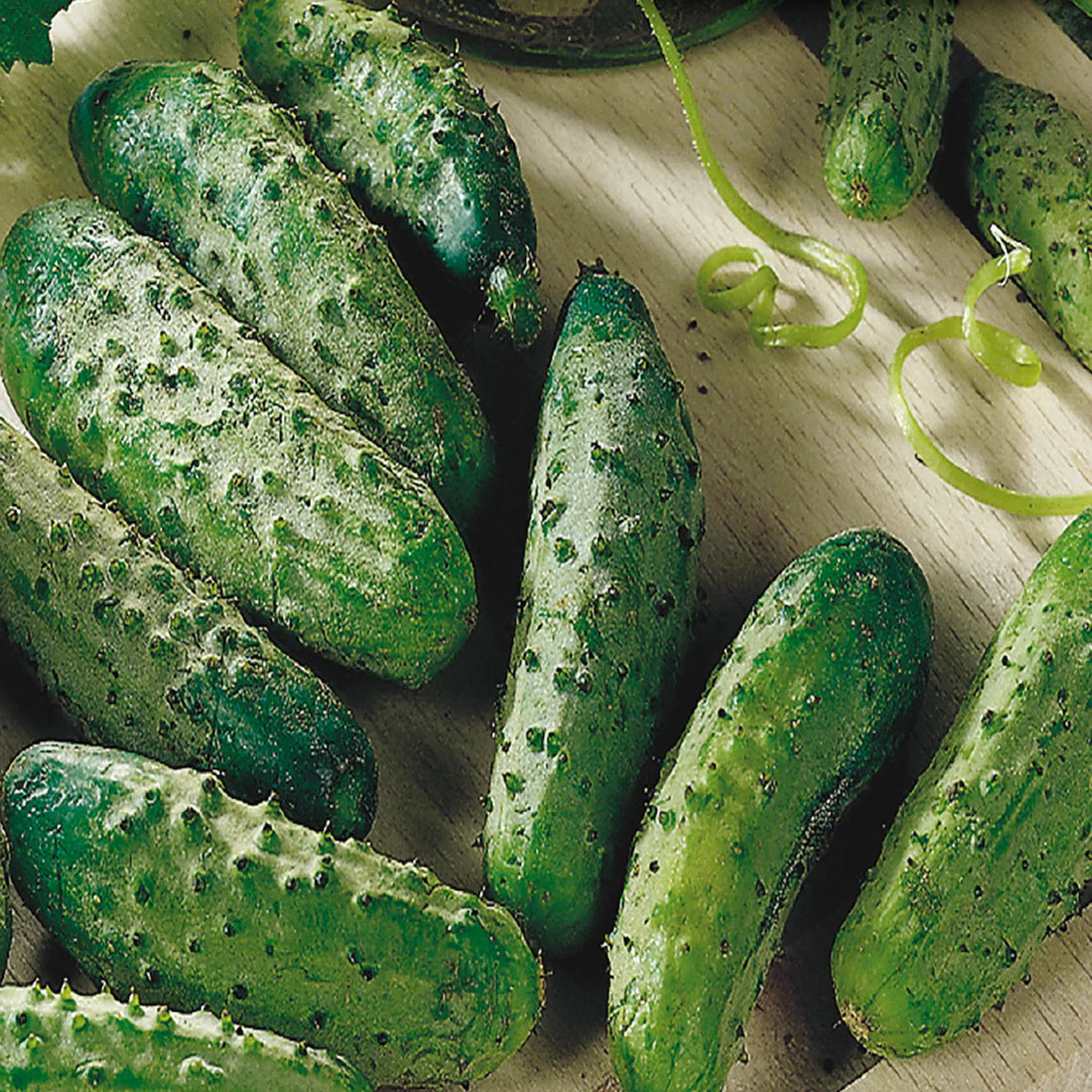 National Pickling Cucumber Seeds
