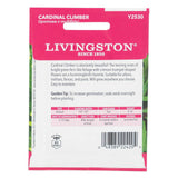 Cardinal Climber Seeds