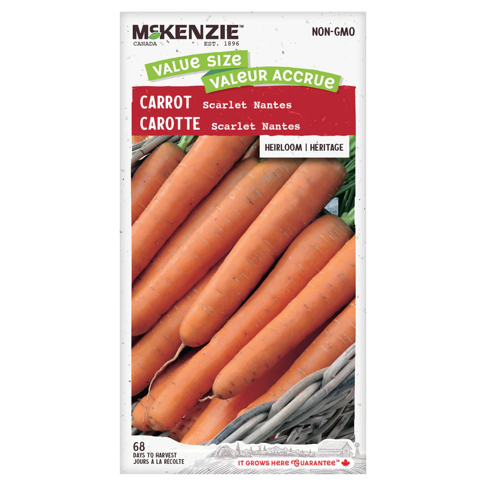 Scarlet Nantes Carrot Seeds - Value Size