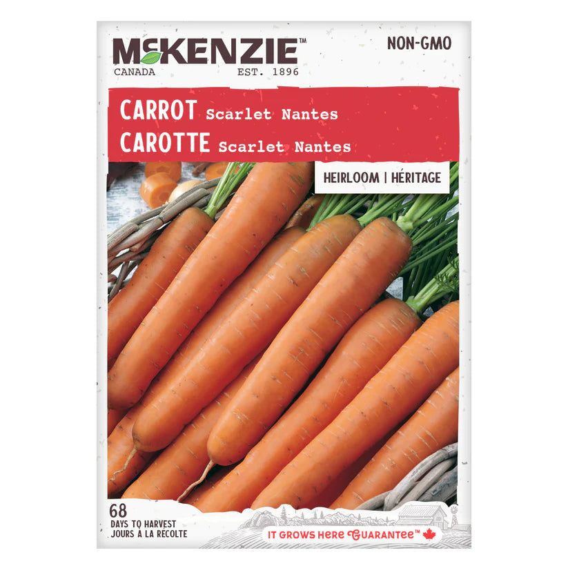 Scarlet Nantes Carrot Seeds