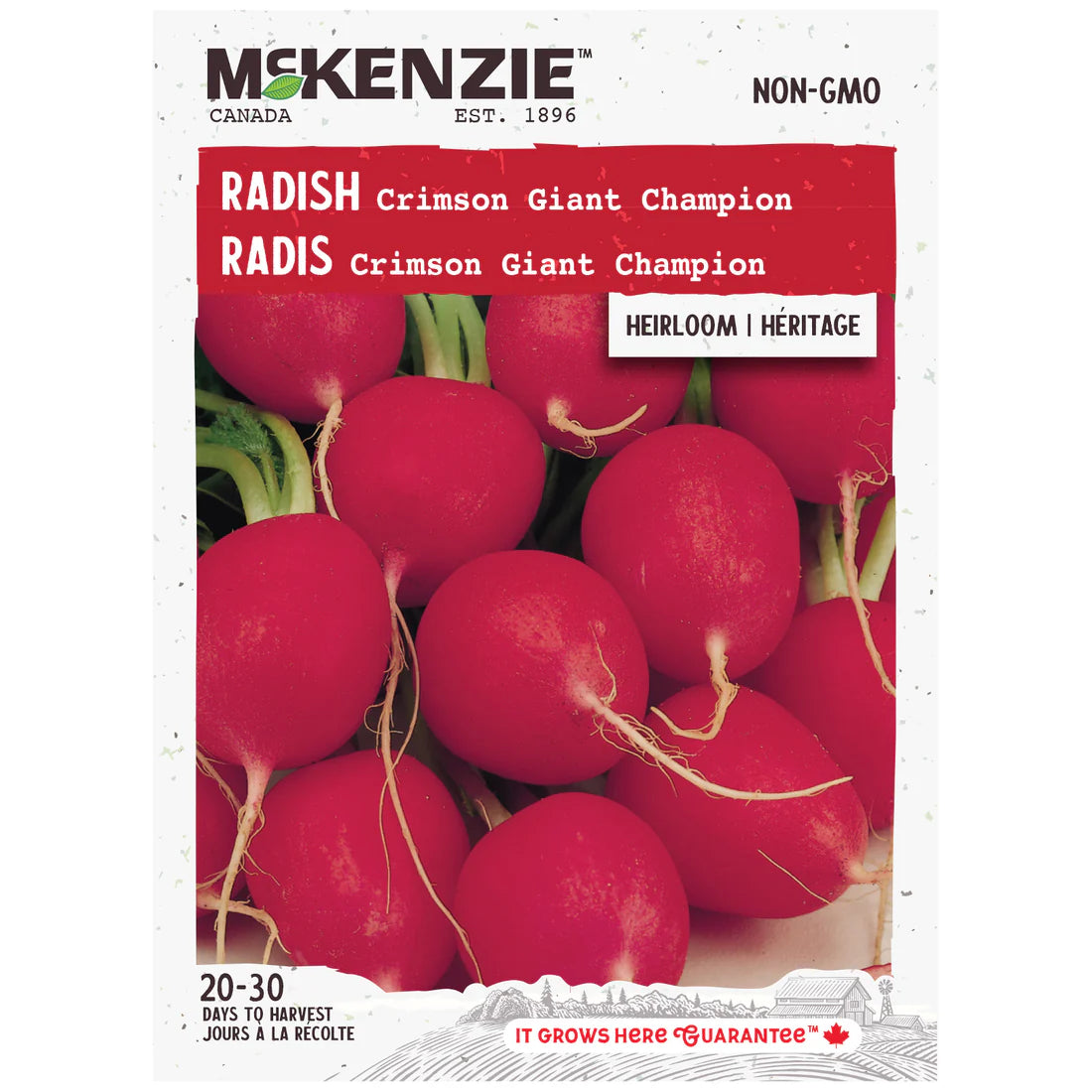 Crimson Giant Champion Radish Seeds