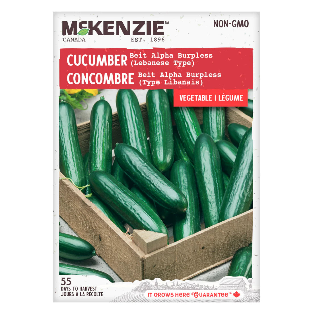 Beit Alpha Burpless Cucumber Seeds