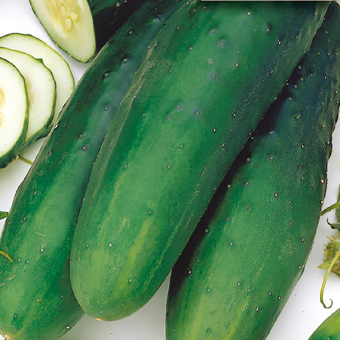 Straight Eight Cucumber Seeds