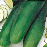 Straight Eight Cucumber Seeds
