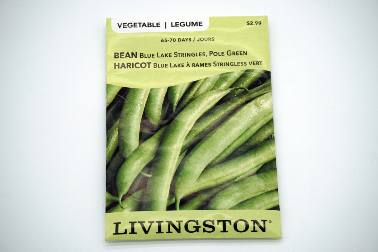 Blue Lake Stringless Pole Bean Seeds