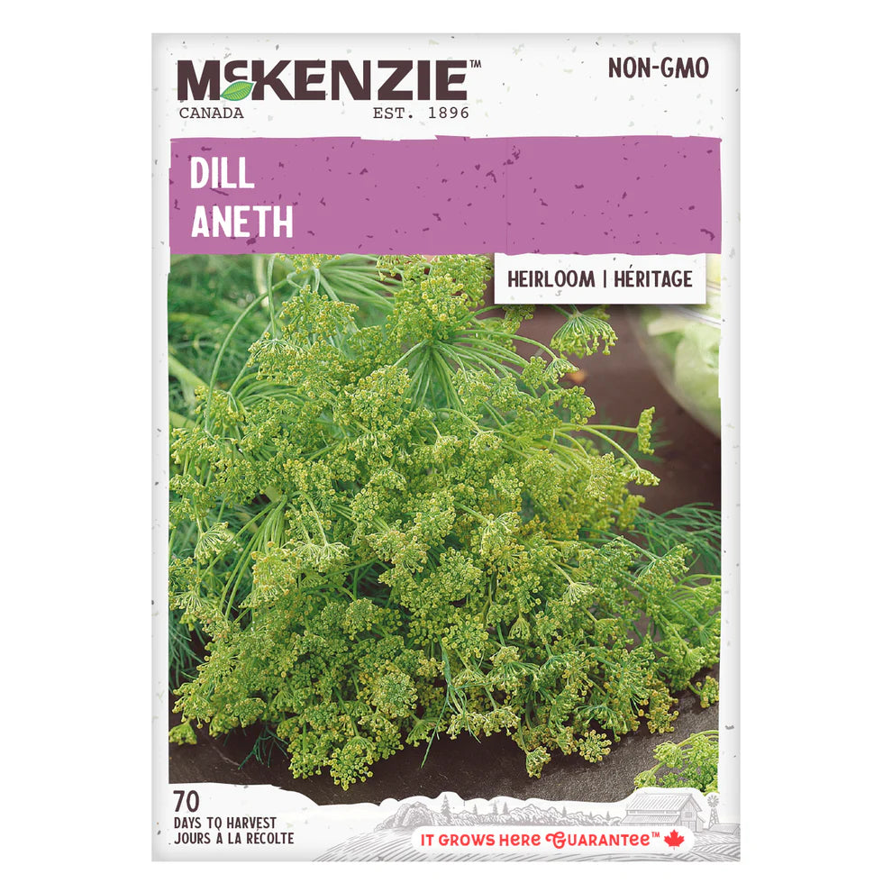 Dill Seeds