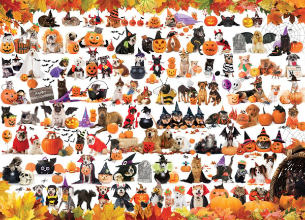 Halloween Animals Puzzle