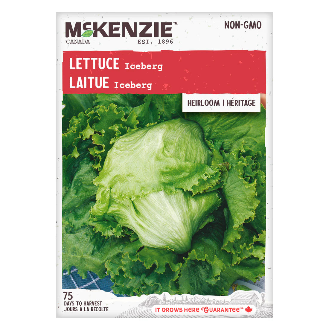Iceberg Lettuce Seeds