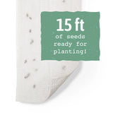 Romaine Lettuce Seeds - Seed  Tape