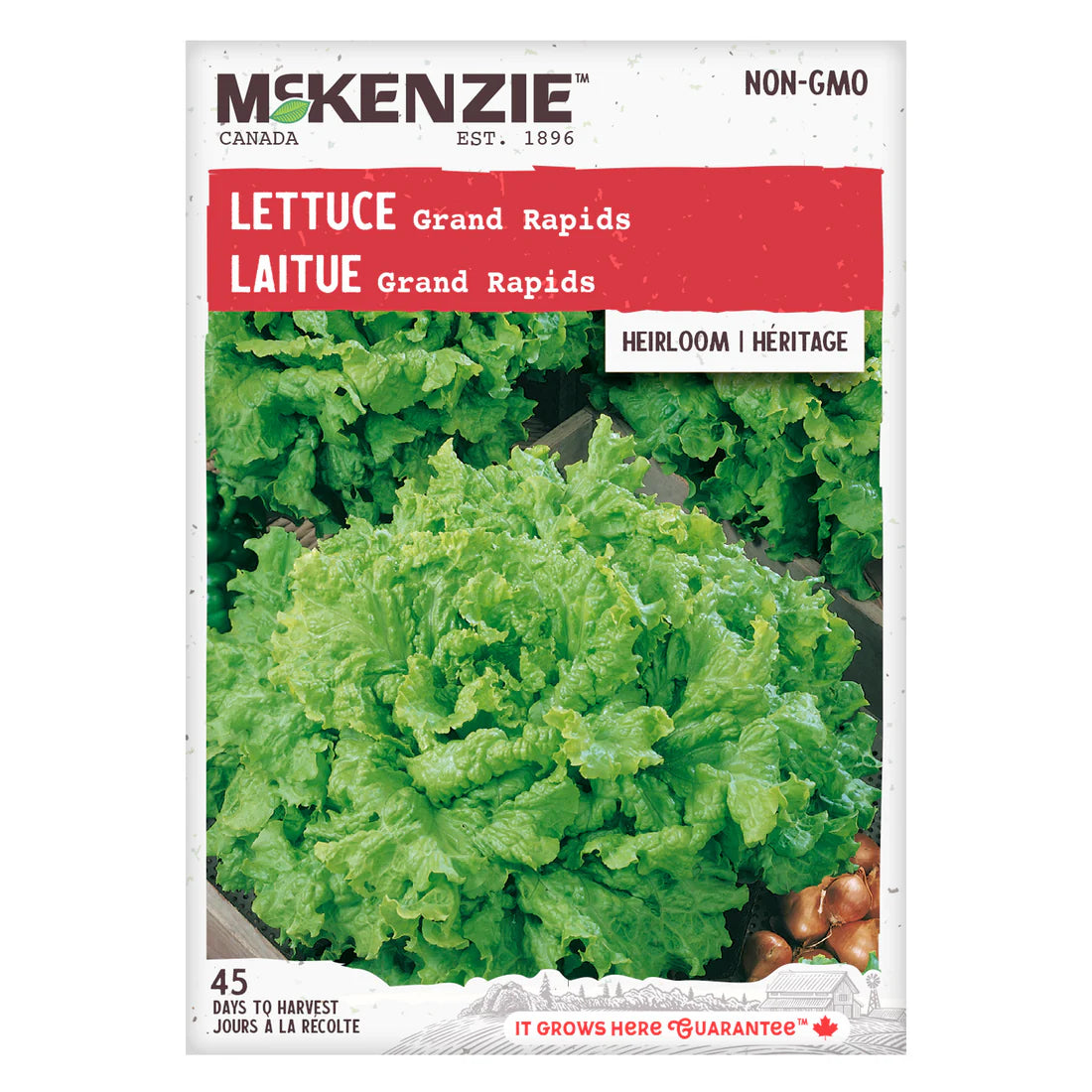 Grand Rapids Lettuce Seeds