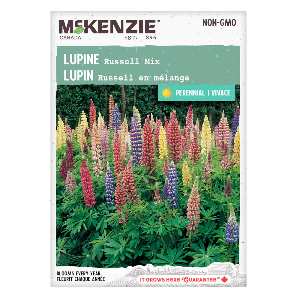 Lupine Russell Mix