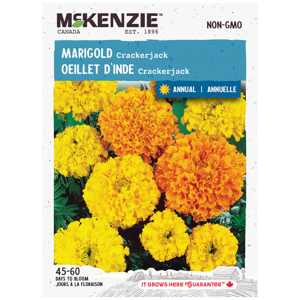 Crackerjack Marigold Seeds