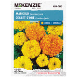 Crackerjack Marigold Seeds